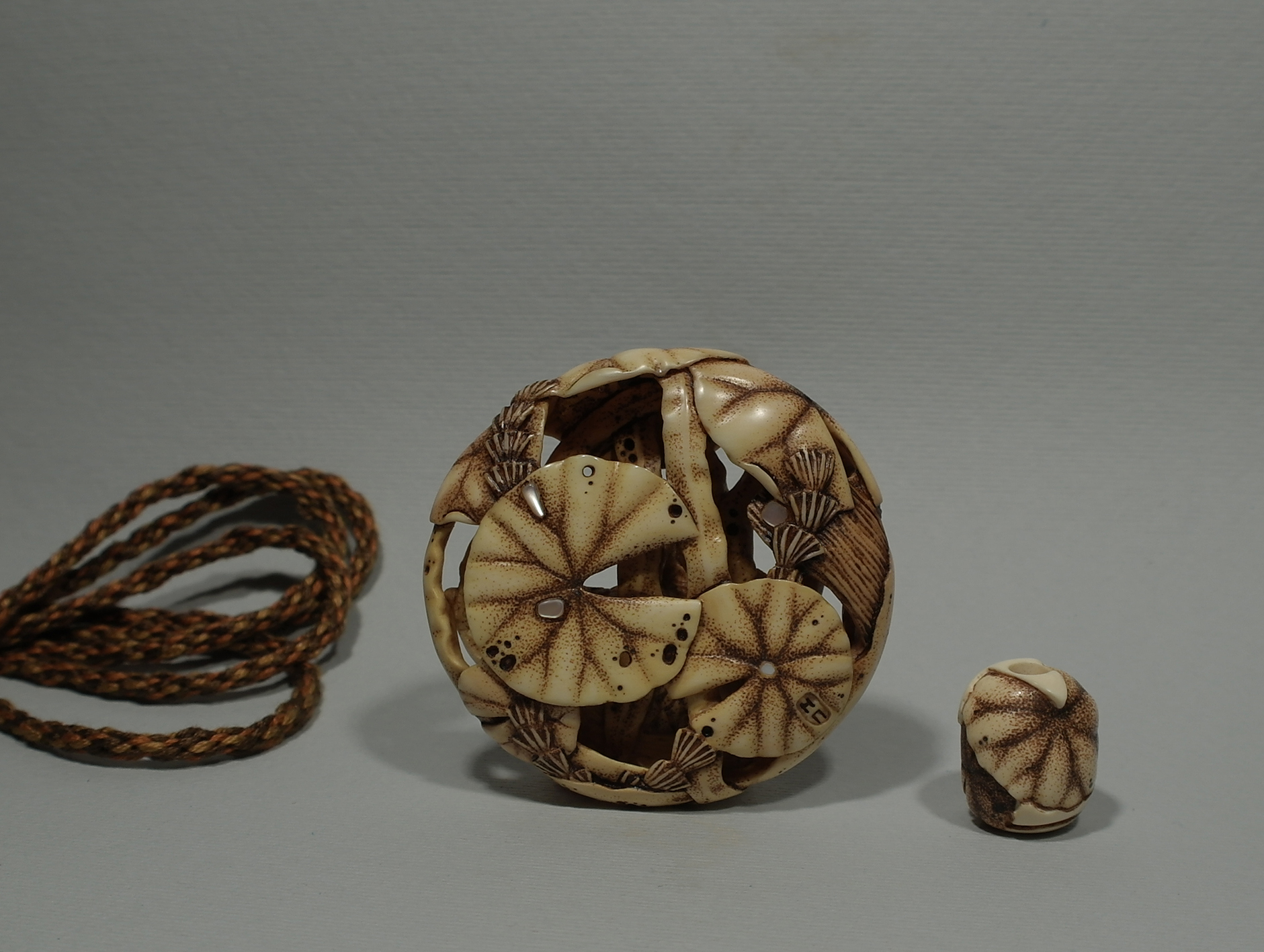 Carp under the lotus leaves 5